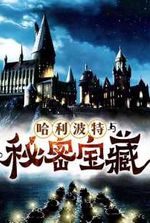 Harry Potter and the Secret Treasures