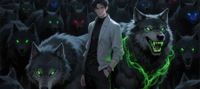 Beast Taming: the More the Better