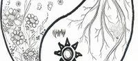 Dexs/ Clairs Adventure (Completed)