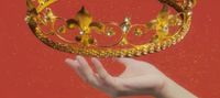 His Majesty's Harem - Comedy/Political Fantasy (Completed)